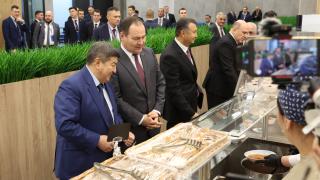 Миниатюра